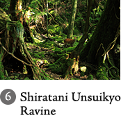 6.Shiratani Unsuikyo
Ravine