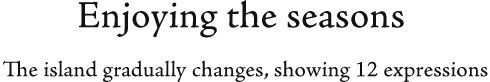 Enjoying the seasons The island gradually changes, showing 12 expressions
