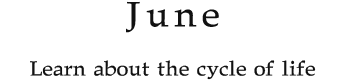 June Learn about the cycle of life