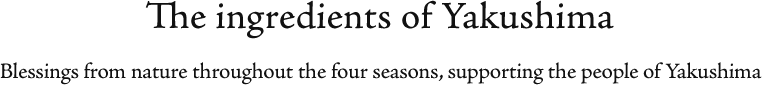Ingredients found on the island Blessings from nature in four seasons that support the life of residents of the island