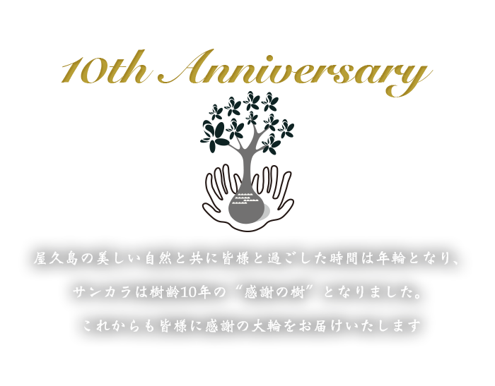 10th Anniversary