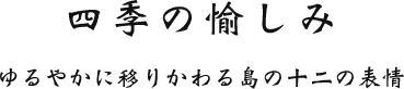 四季の愉しみ ゆるやかに移りかわる島の十二の表情