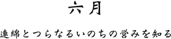 六月 連綿とつらなるいのちの営みを知る