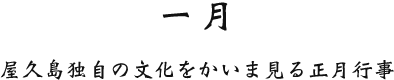 一月 屋久島独自の文化をかいま見る正月行事