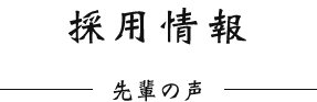 採用情報 先輩の声