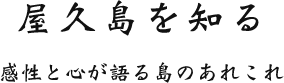 屋久島を知る　感性と心が語る島のあれこれ